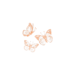 Guadalupe Centers